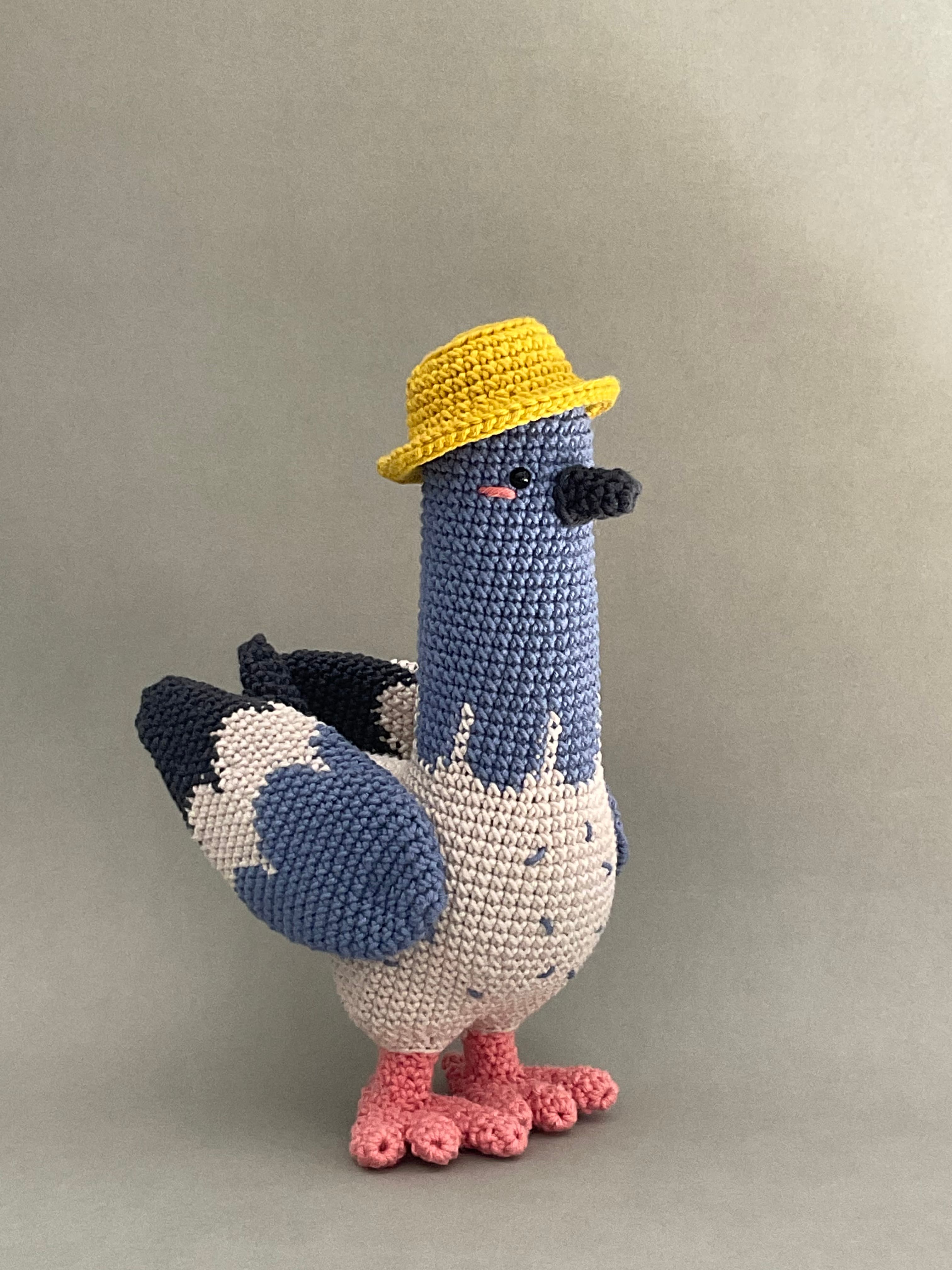 HOMING PIGEON